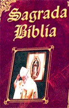 texto completo de los libros de la sagrada biblia, Antiguo y NUevo Testamento, de acuerdo a la Versión Católica Nacar-Colunga 